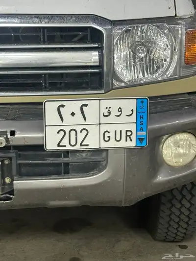 للبيع لوحه مميزه (ر و ق 202) 0