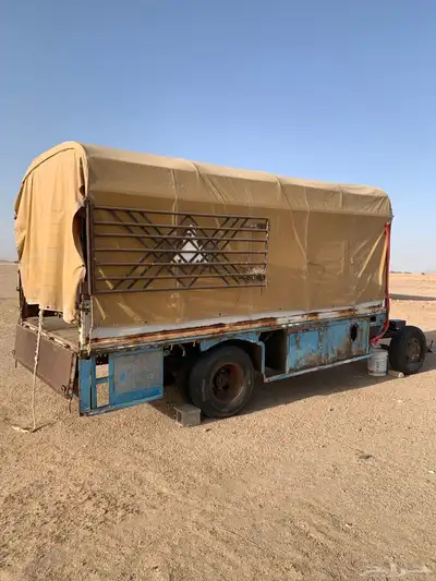 صندوق دينا برحى للبيع 0