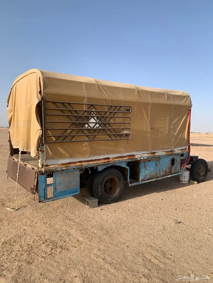 صندوق دينا برحى للبيع 0