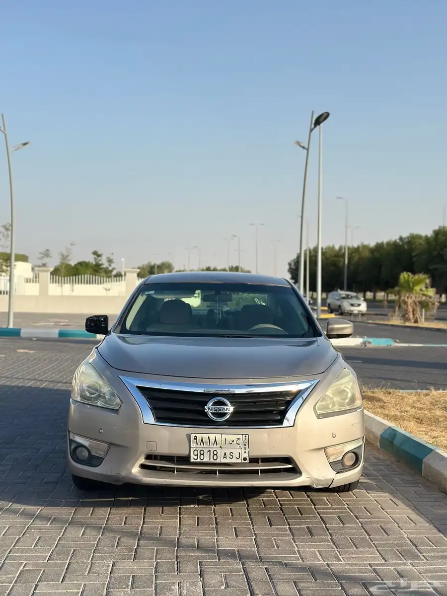 التيما 2013 1
