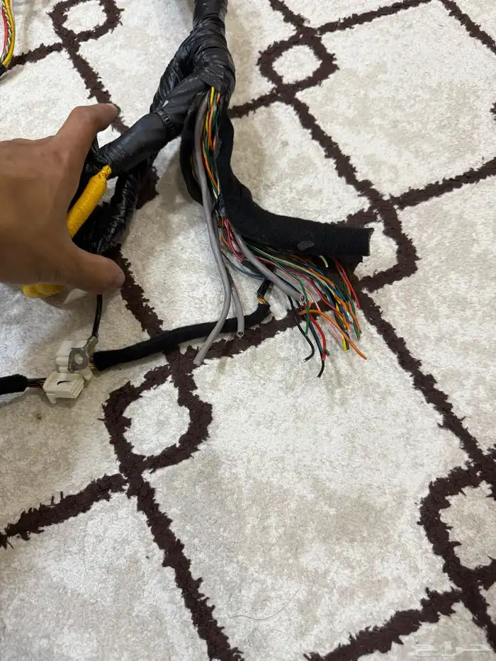 ضفيره طبلون النترا 2017 23