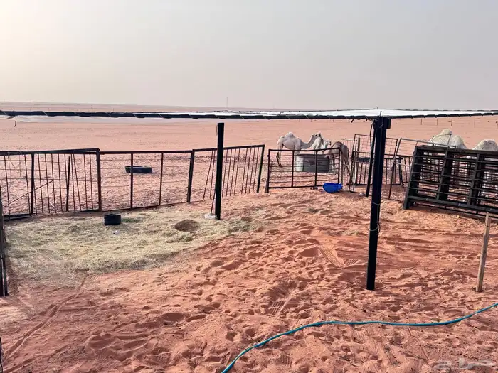 مضلات ابل جميع المقاسات وجوده ميه ميه موجود توصل وتركيب 32