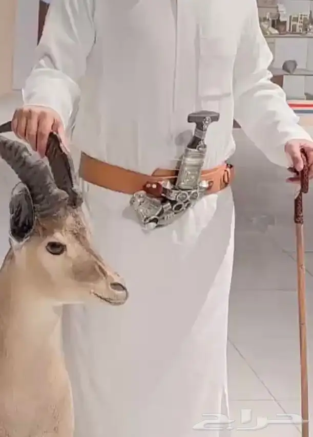 جنبية 1