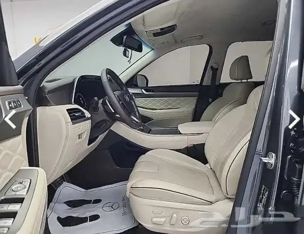 باليسيد دبل 2022 10