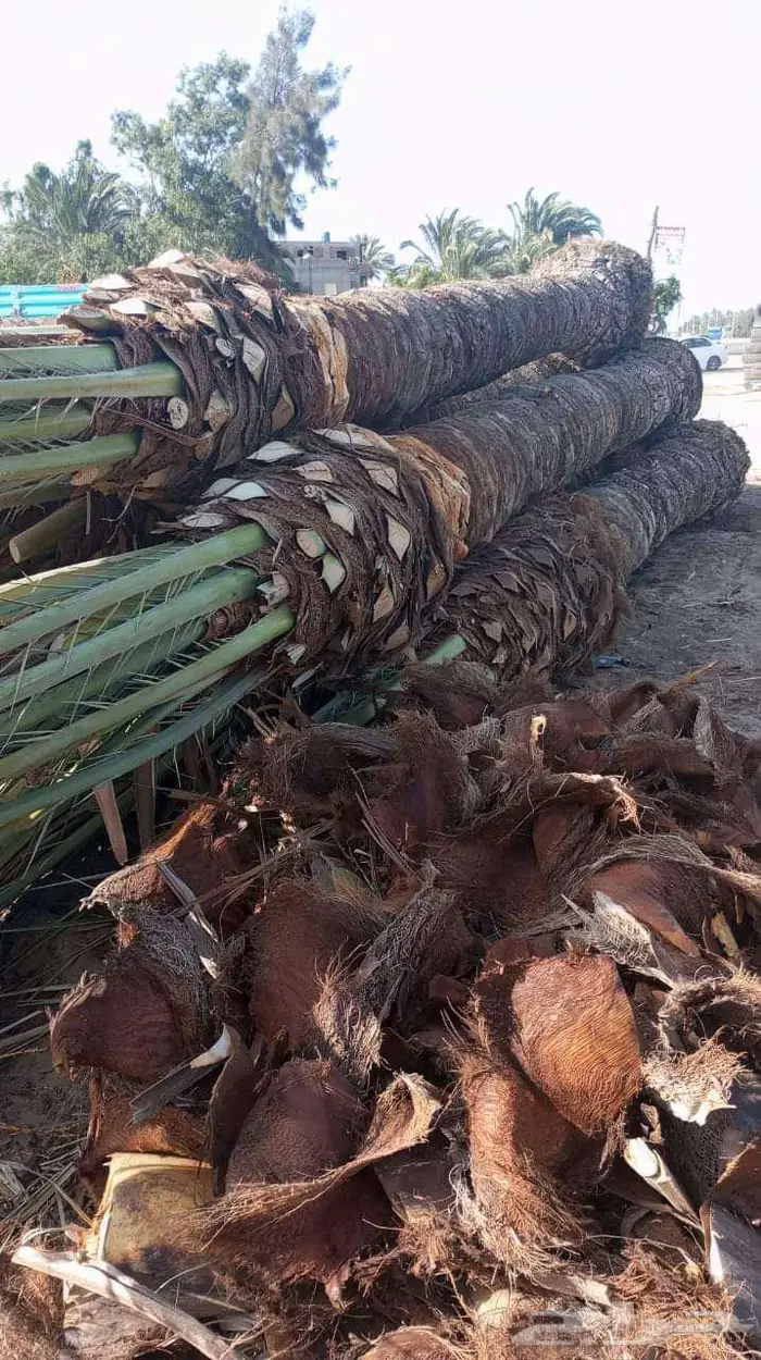 منسق حدائق بالرياض والخرج 10