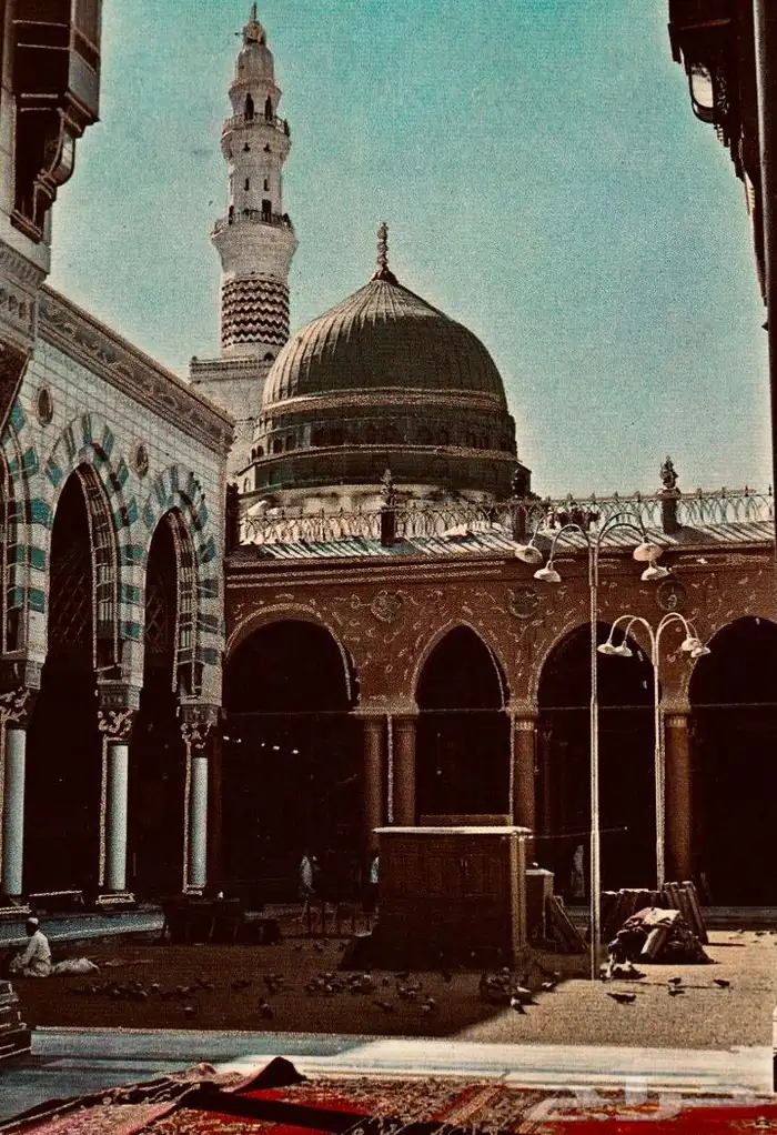 أستاذة 0