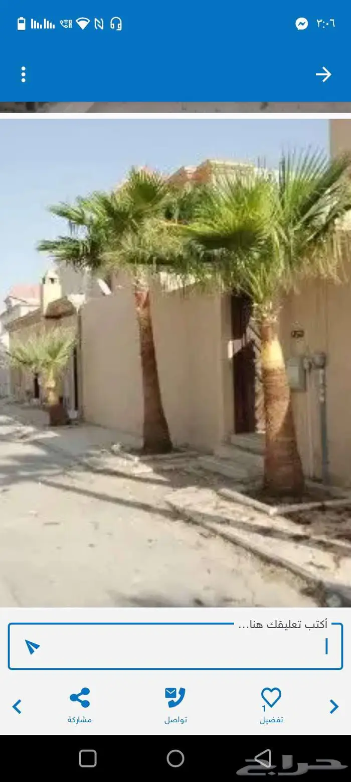 منسق حدائق بالرياض والخرج 13