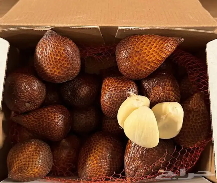 فواكه بجميع انواعها 5