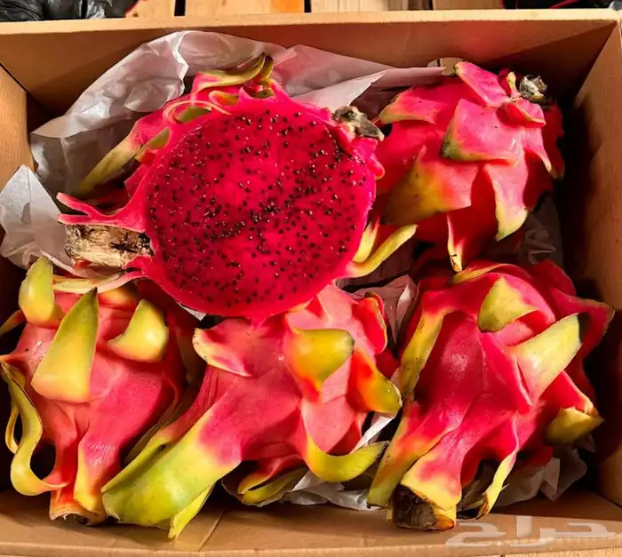 فواكه بجميع انواعها 4