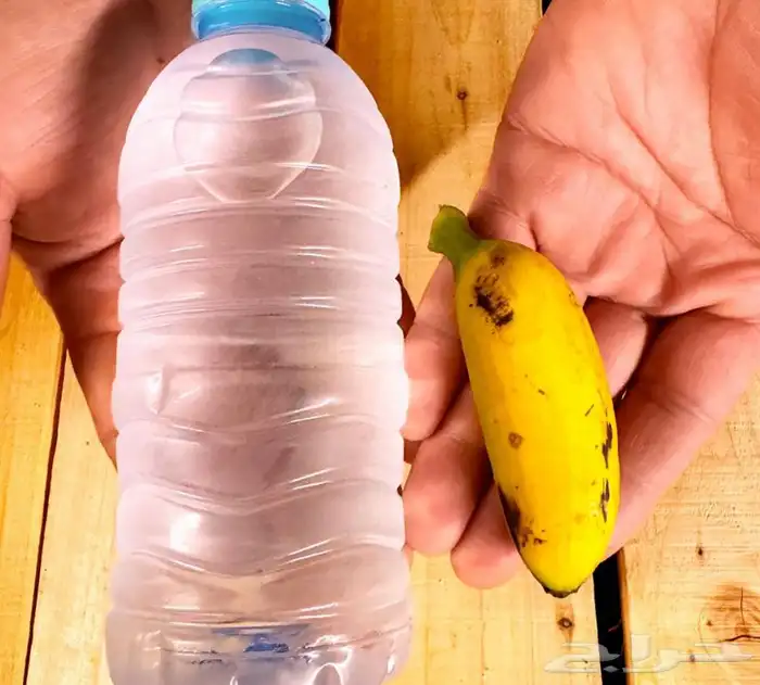 فواكه بجميع انواعها 7