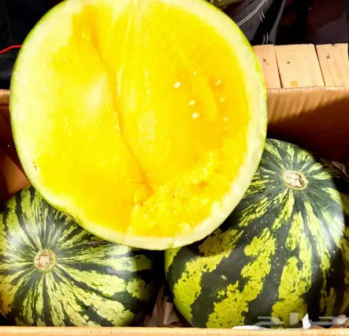 فواكه بجميع انواعها 1