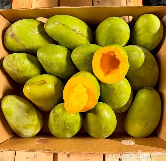 فواكه بجميع انواعها 0