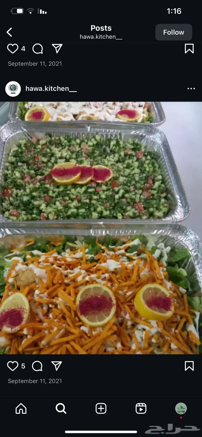 أسره منتجه بالدوادمي 0