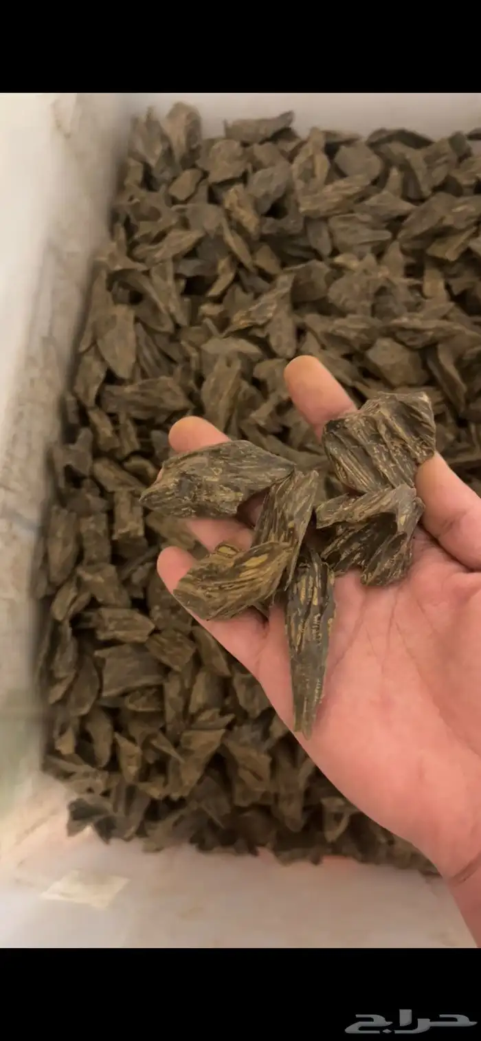 عود كلمنتان ( العود الازرق ) طبيعي محسن درجه اولى بيور 0