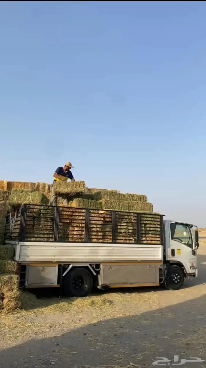 دينه لنقل الاغراض متوجه الجنوب 0
