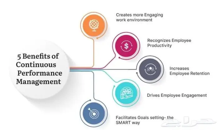مادة strategies management لطلاب الجامعة والماجستير 2