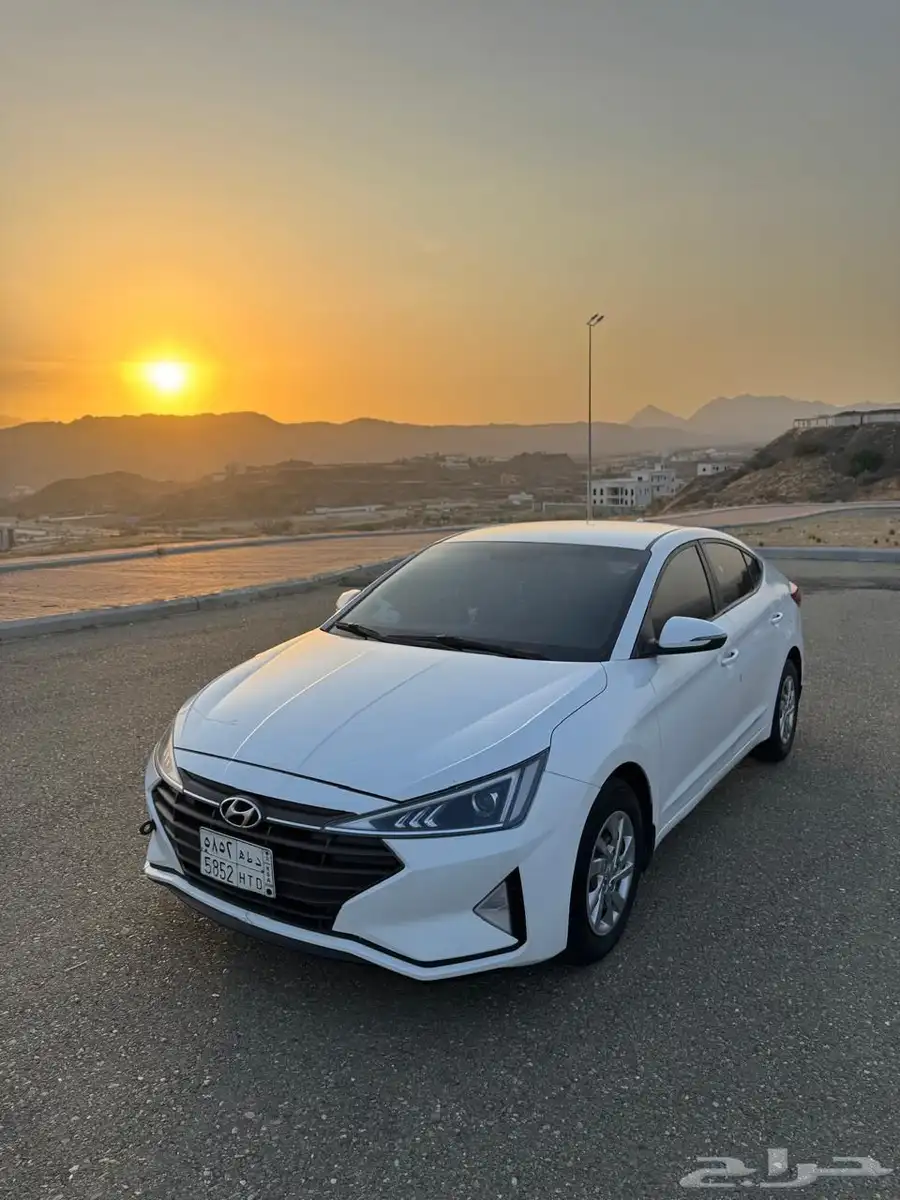 النترا 2019 5