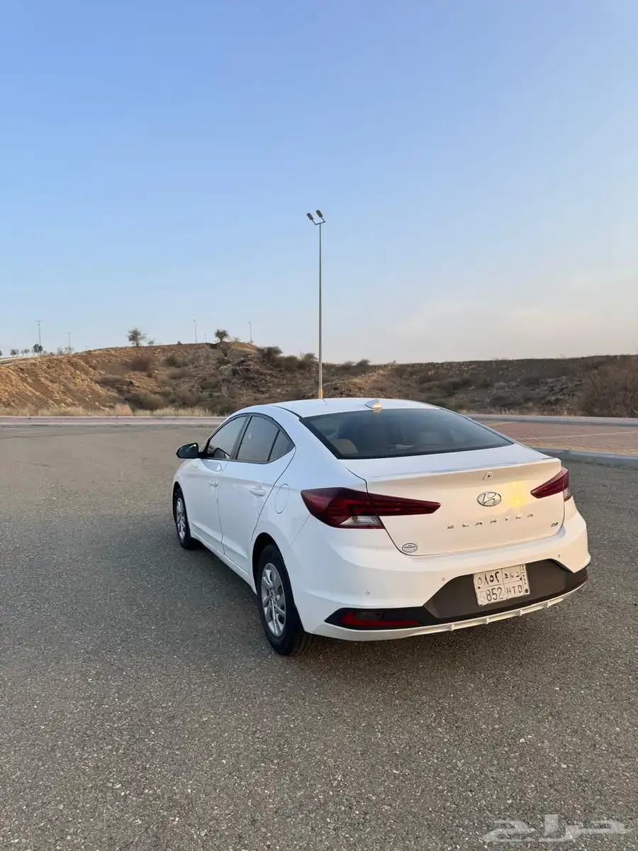 النترا 2019 1