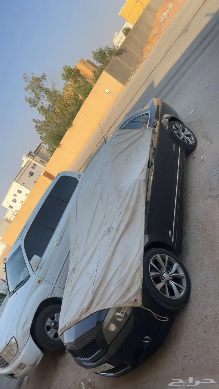 كابريسss2009 9