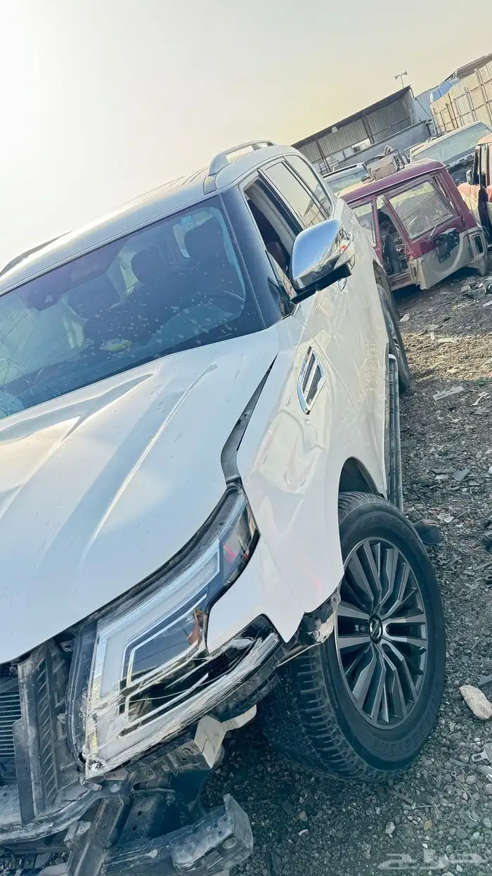 قطع بلاتنيوم 20 2