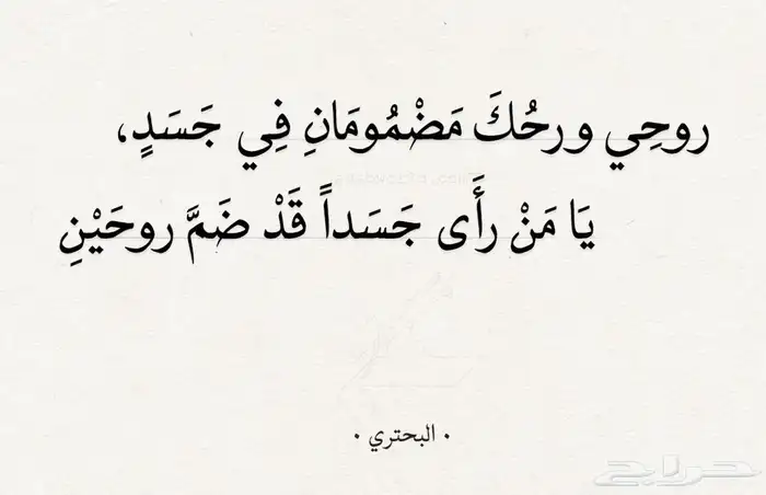 قصايد نبطية - قصائد عربية فصحى 8