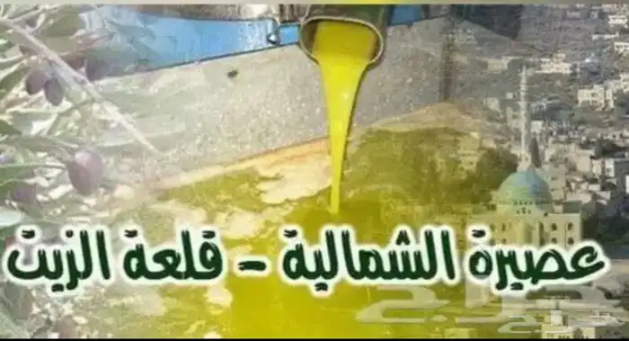 زيت زيتون الفلسطيني بعل عالأمطار شحن لجميع مناطق المملكه 32