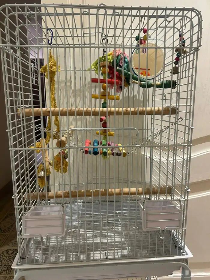 قفص طيور 200 1