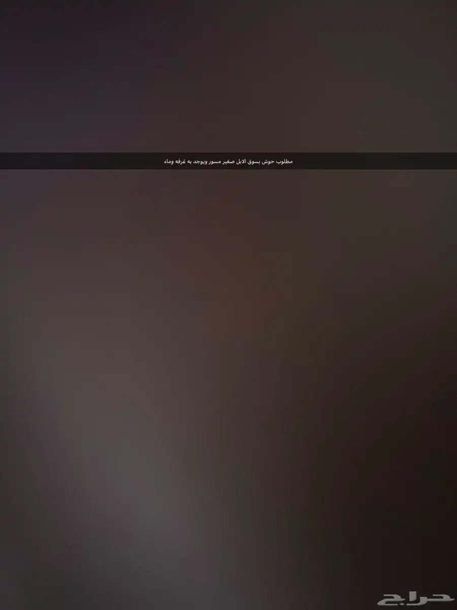 سوق الابل 0