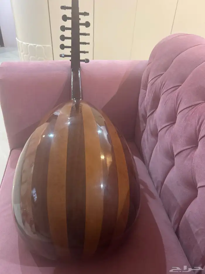عود جديد 1