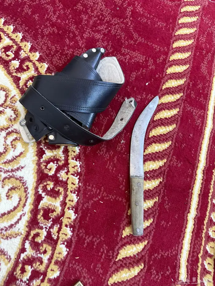 كل نوع له سعر والتوصيل مجانا في الجنوب 6