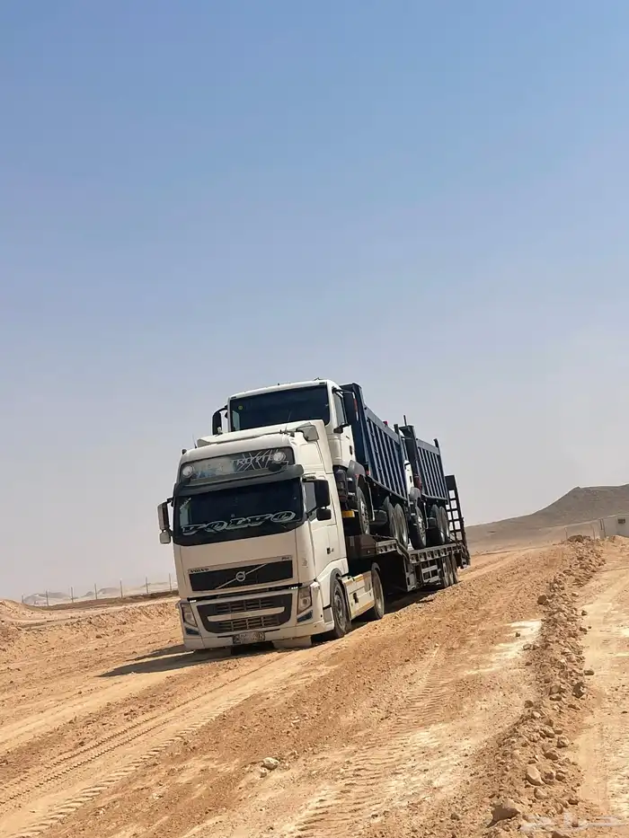 لوبد في القصيم لوابد القصيم لوبد متواجد في القصيم 0