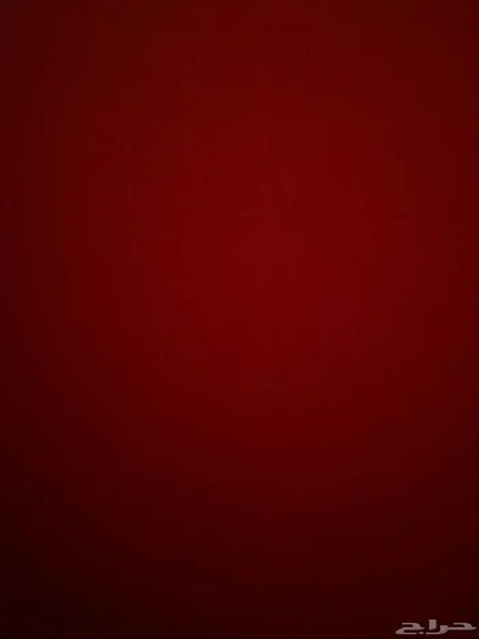 ارانب اربع اناثي وذكر منتجات 0