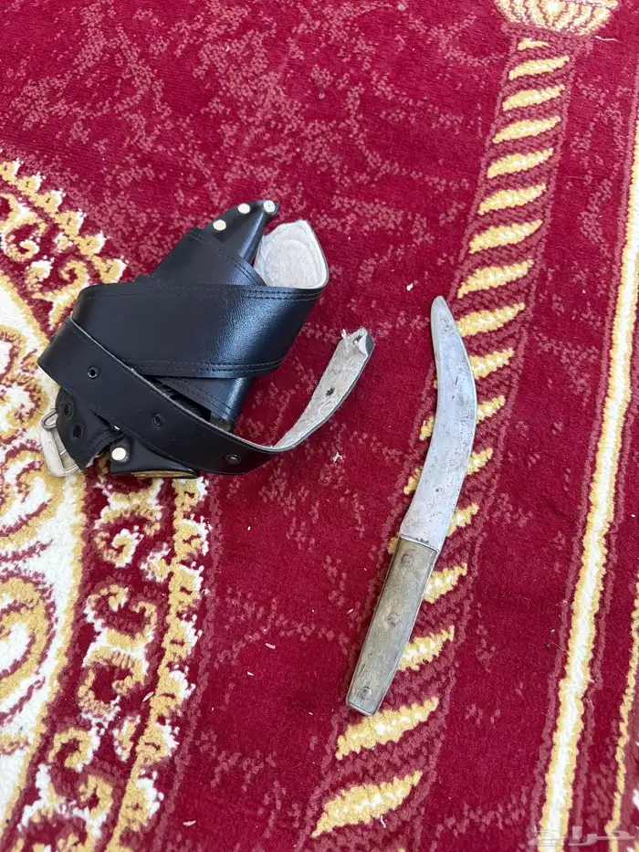 كل نوع له سعر والتوصيل مجانا في الجنوب 5