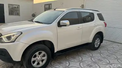 للبيع 2020 MUX 2
