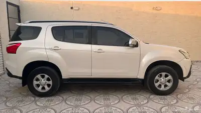للبيع 2020 MUX 3