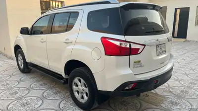 للبيع 2020 MUX 4