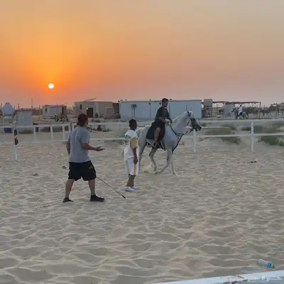 تدريب ركوب خيل للمبتدئين 4