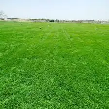 توريد وتركيب ثيل نظيف درجة اولى 5