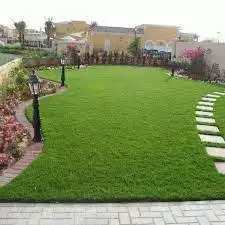 توريد وتركيب ثيل نظيف درجة اولى 2