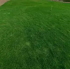 توريد وتركيب ثيل نظيف درجة اولى 4