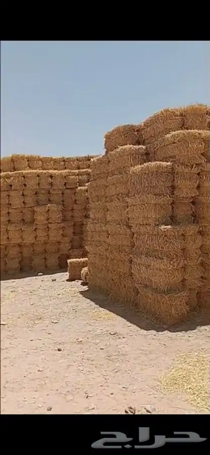 تبن بر طيب 0