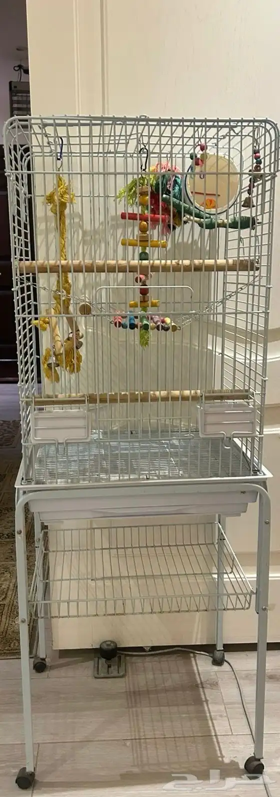 قفص طيور 200 0