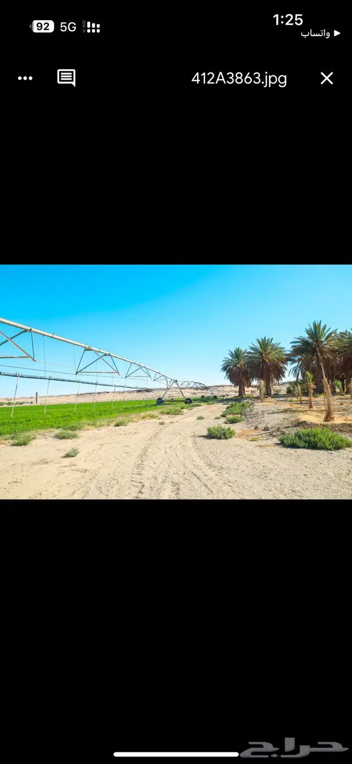 مزرعه للبيع تيماء 4