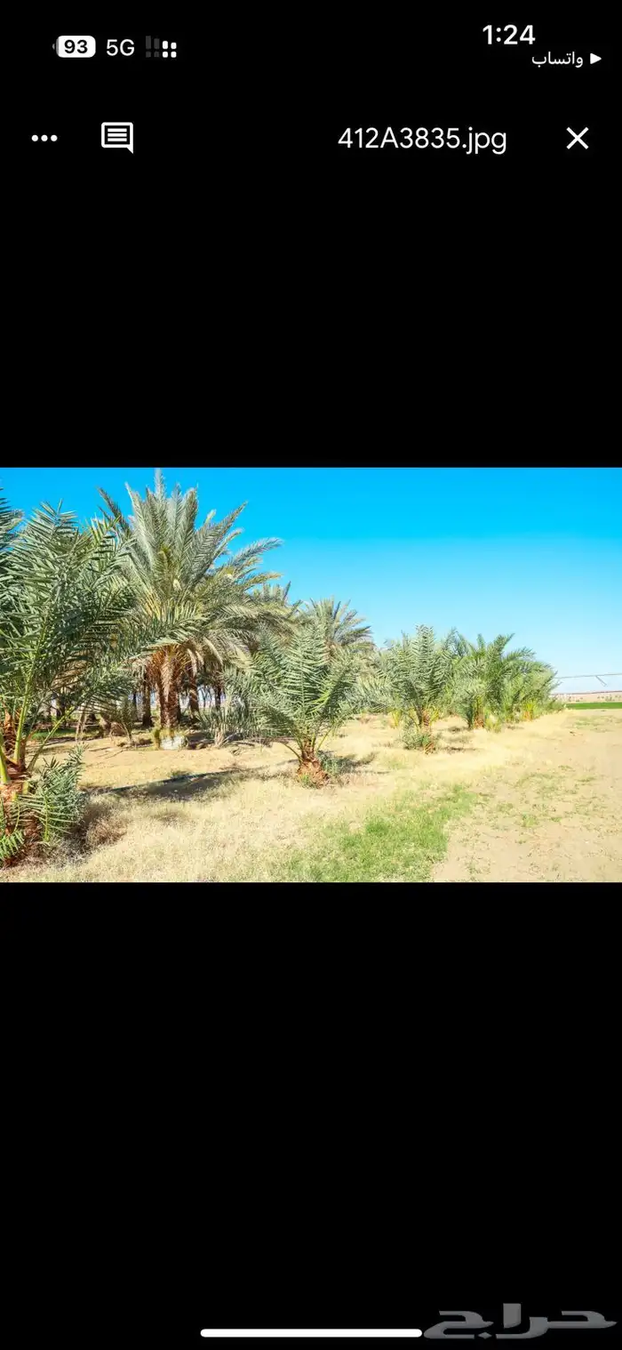 مزرعه للبيع تيماء 0