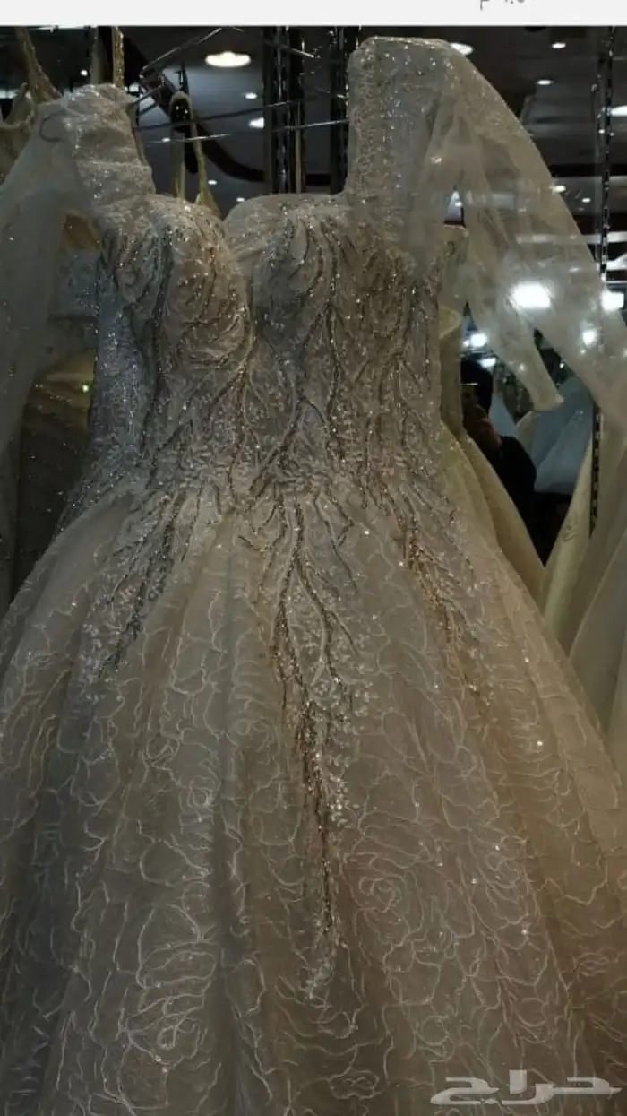 جده البوادي 0