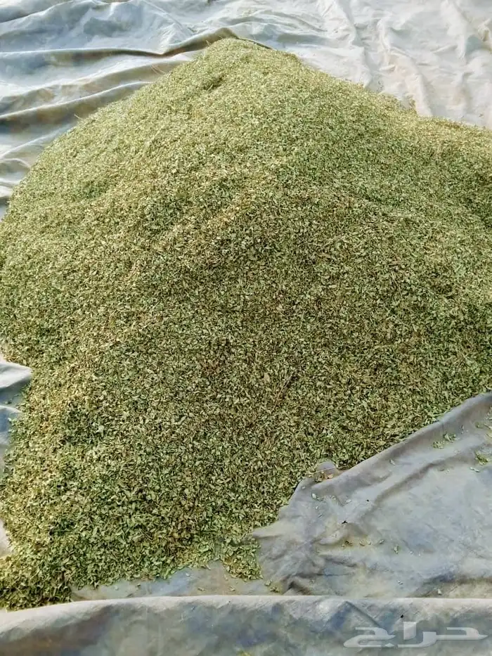 حنا وسدر سعر الجملة 0