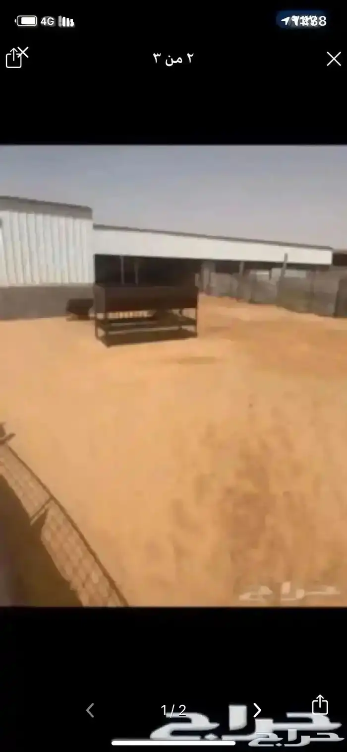 حضائر وشبوك مجهزه للإيجار السنوي فقط تحت اشراف عماله مختصه 0
