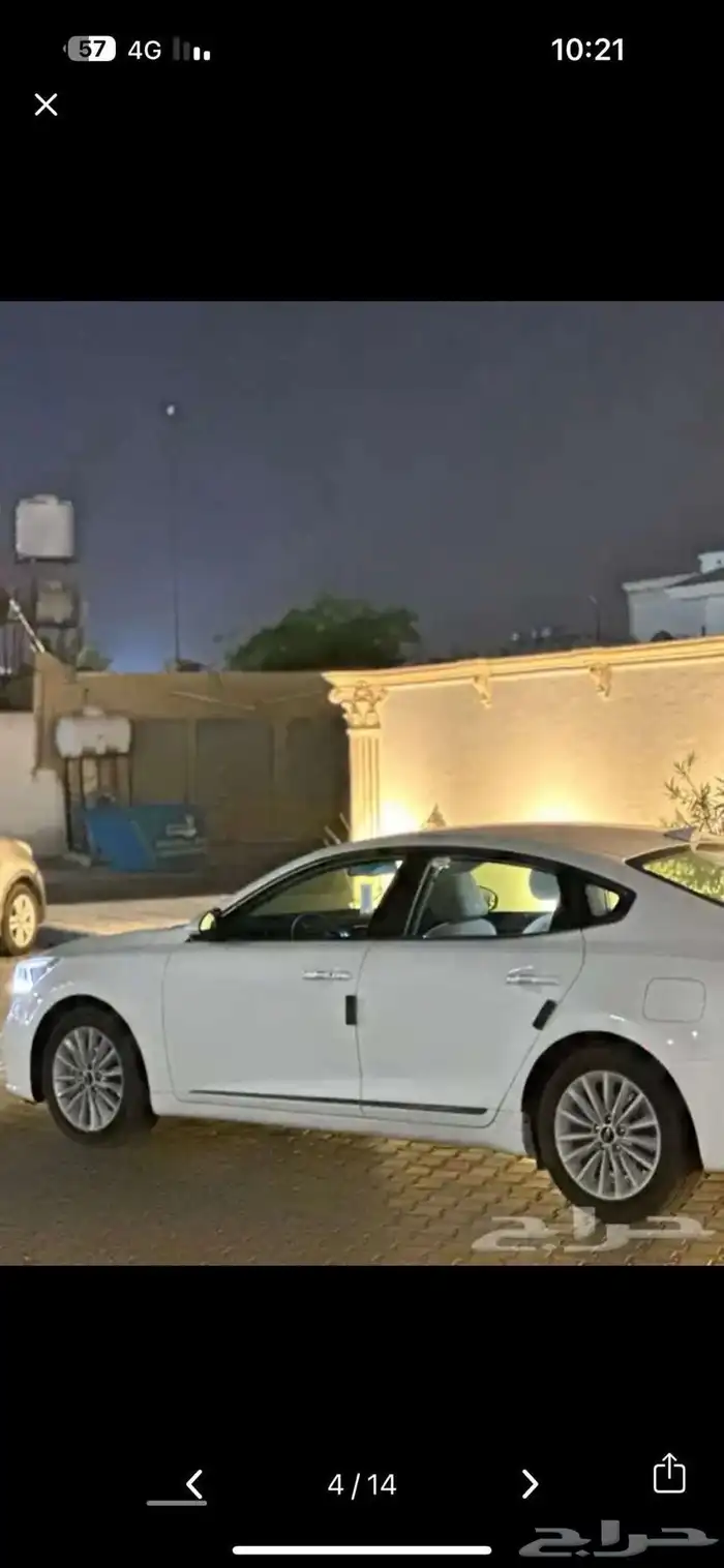 كادينزا 2019 4