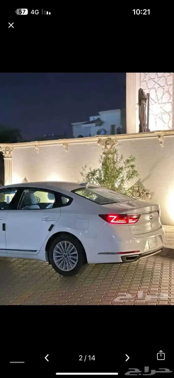 كادينزا 2019 1