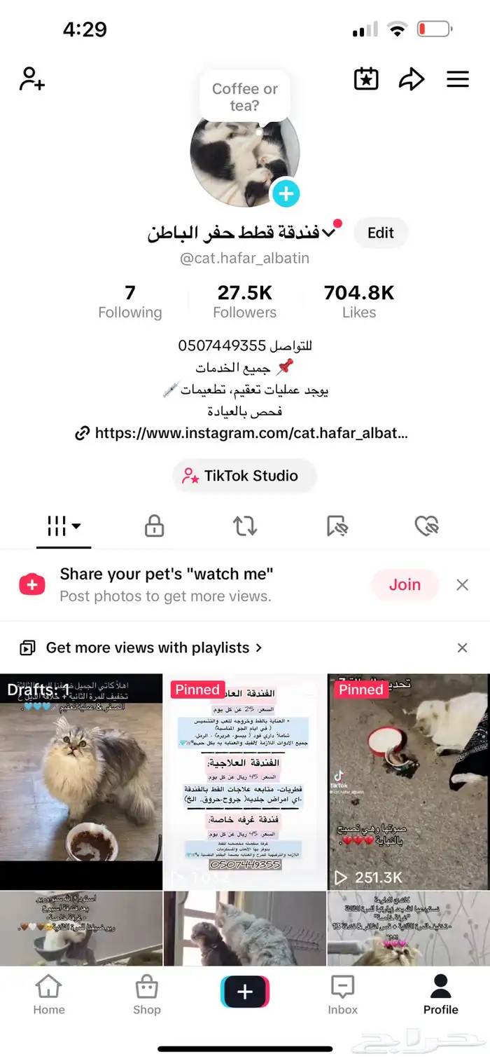 فندقة قطط حفر الباطن 7